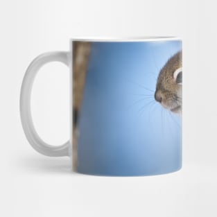 Red Squirrel Mug